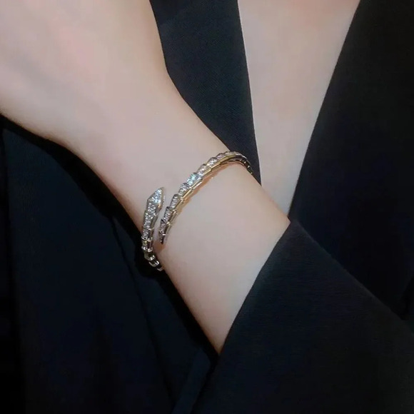 Serpenti Snake Crystal Silver Cuff Bracelet - Picture 9 of 17